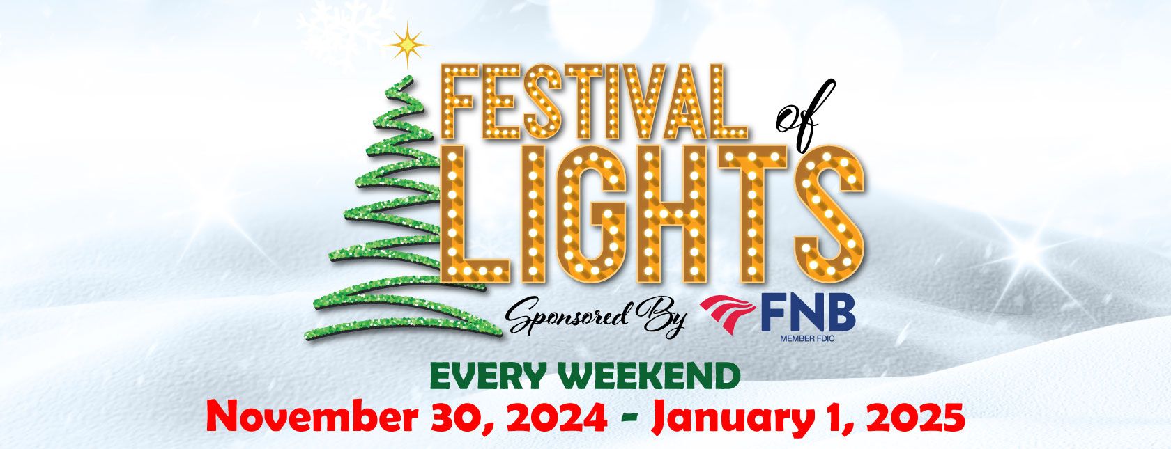 Festival of Lights 2024