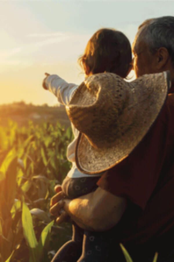 FNB Business and Agriculture Loans
