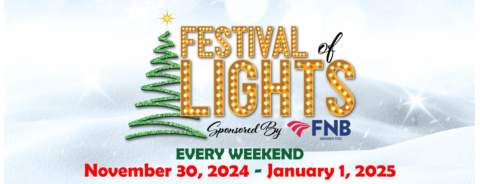 6th Annual Festival of Lights Presented by FNB