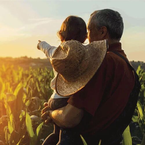 Business & Ag Loans