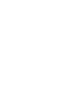 Lock Icon