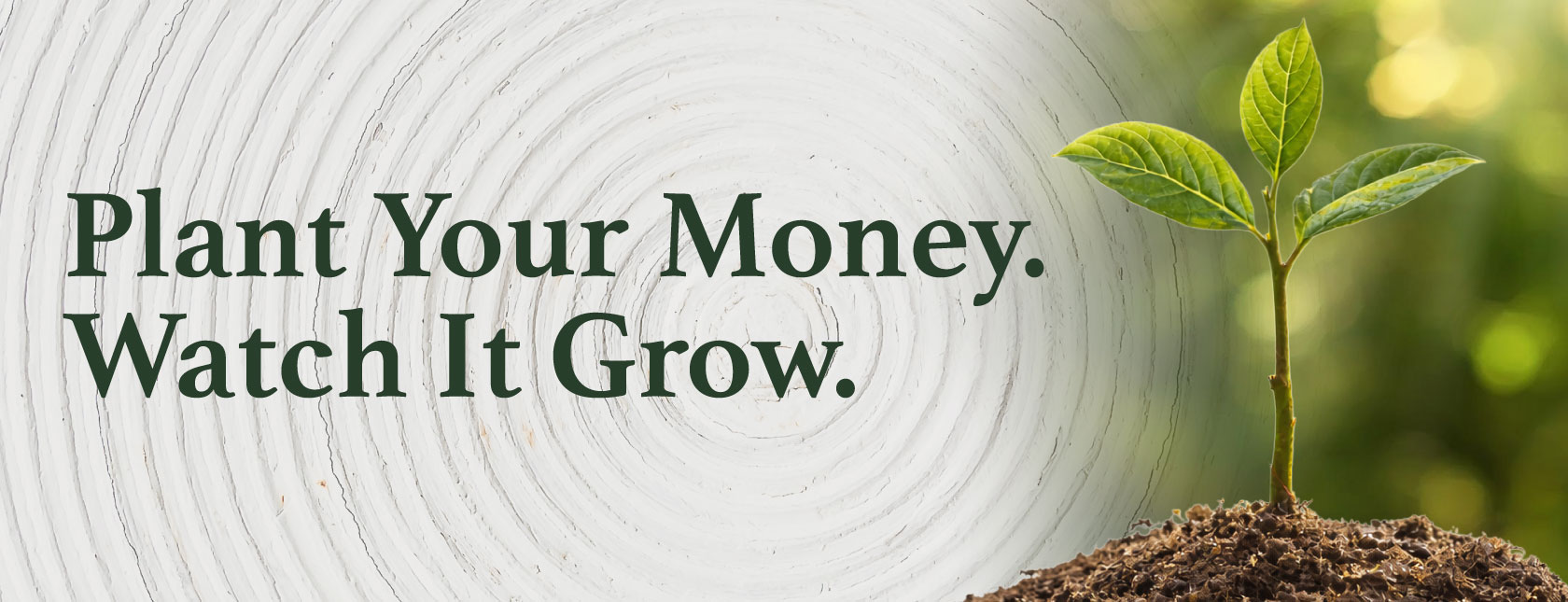 Plant Your Money